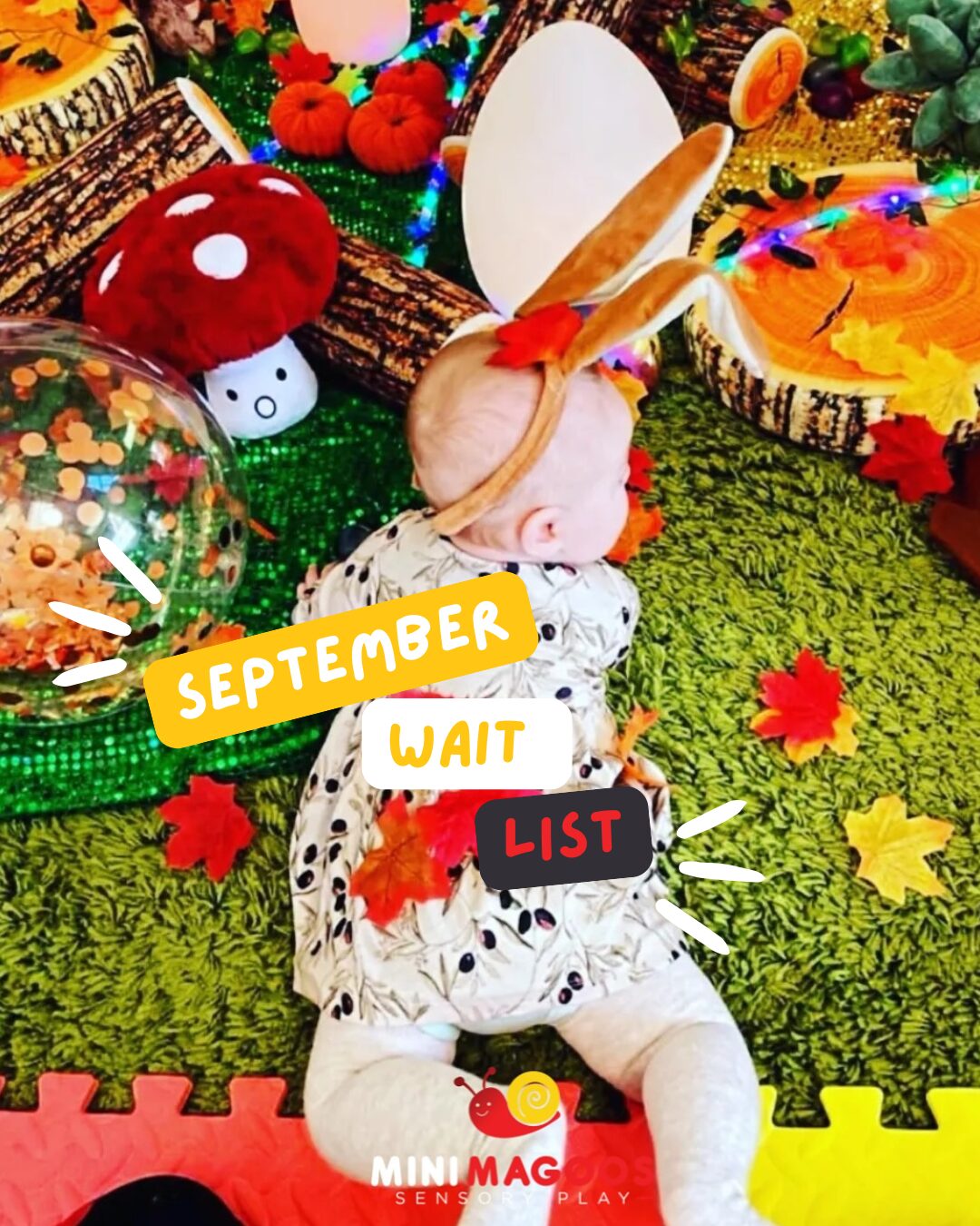 Mini Magoos – Wait List