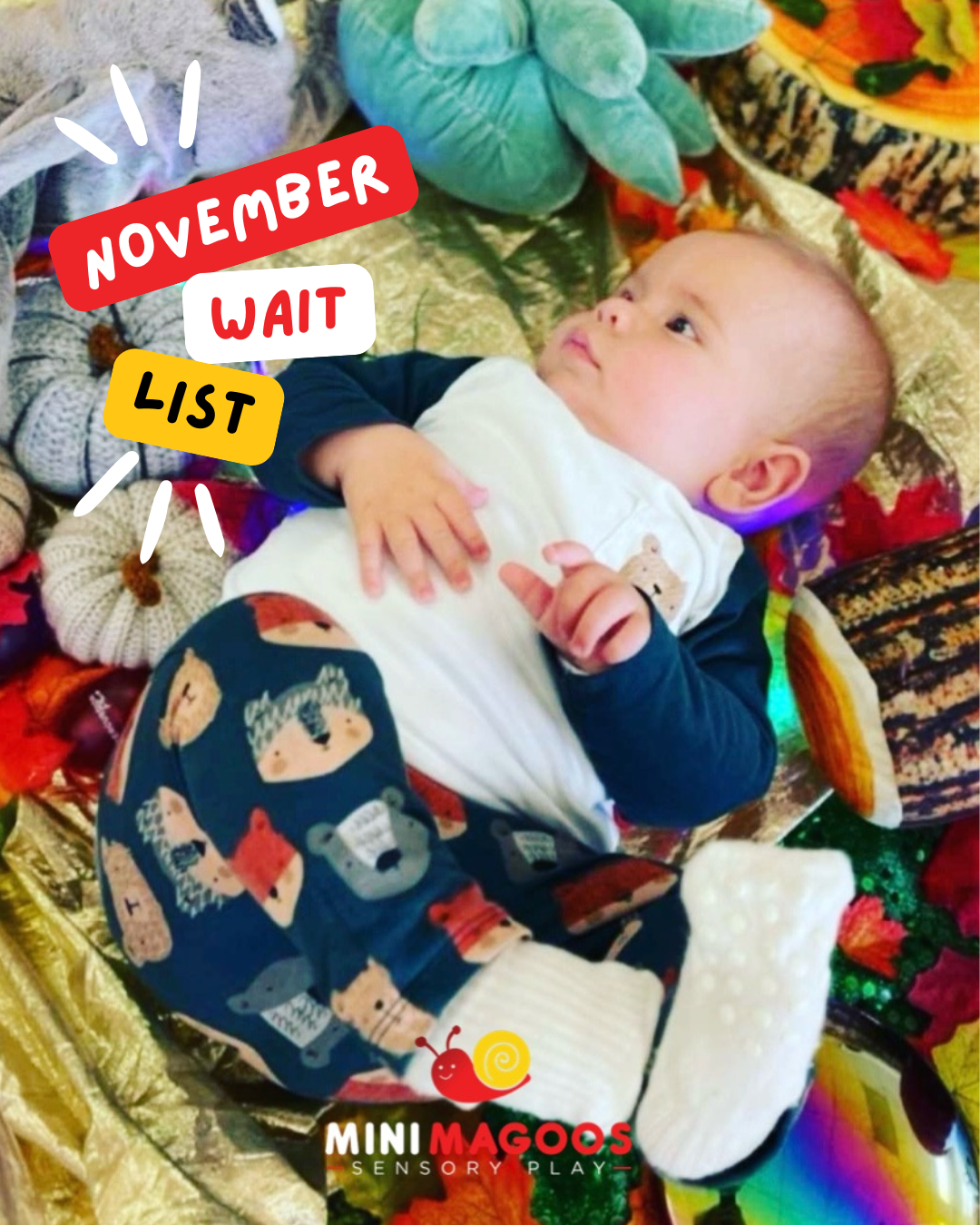 Mini Magoos – Wait List